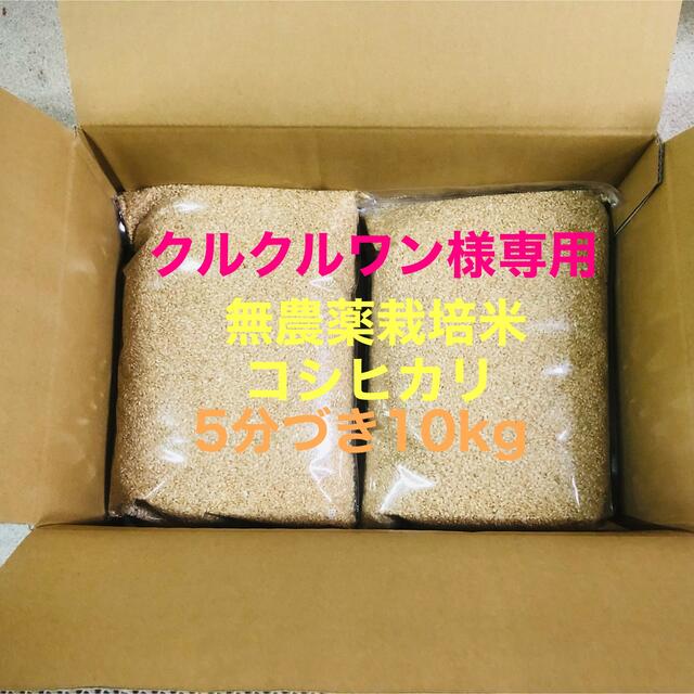 クルクルワン様専用 無農薬コシヒカリ5分づき10kg(5kg×2)令和3年産の通販 by U-KO's shop｜ラクマ