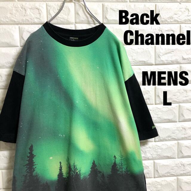 Back Channel(バックチャンネル)のバックチャンネル　半袖Tシャツ　オーロラ柄　派手柄　刺繍ロゴ　メンズLサイズ メンズのトップス(Tシャツ/カットソー(半袖/袖なし))の商品写真