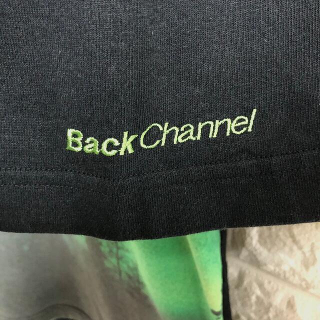 Back Channel(バックチャンネル)のバックチャンネル　半袖Tシャツ　オーロラ柄　派手柄　刺繍ロゴ　メンズLサイズ メンズのトップス(Tシャツ/カットソー(半袖/袖なし))の商品写真