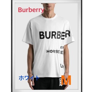 バーバリー(BURBERRY) 限定 Tシャツ・カットソー(メンズ)の通販 17点 