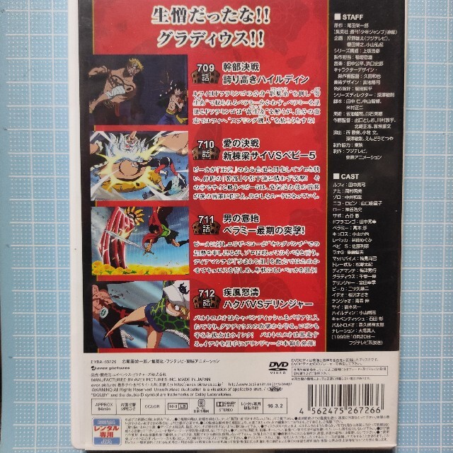 aki様専用DVD ONE PIECE 17th ドレスローザ編 R-20＆21