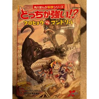 カドカワショテン(角川書店)のどっちが強い！？クロヒョウｖｓマンドリル まさかの空中決戦(絵本/児童書)