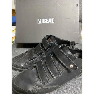 SEAL  PSS-301BK　【10周年記念】BLACK　サイズ:L 中古(スニーカー)