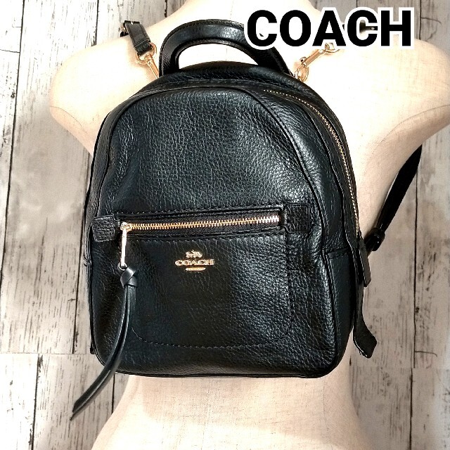 コーチ COACH F30530 リュック コーチ ピンク ミニリュック