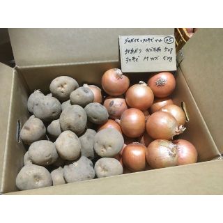 北海道産　ジャガイモとタマネギのセット25　10kg　農家直送(野菜)