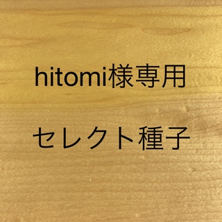 hitomi様専用　セレクト種子　4袋(野菜)