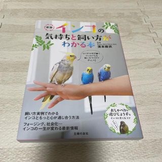 インコの気持ちと飼い方がわかる本 新版(住まい/暮らし/子育て)