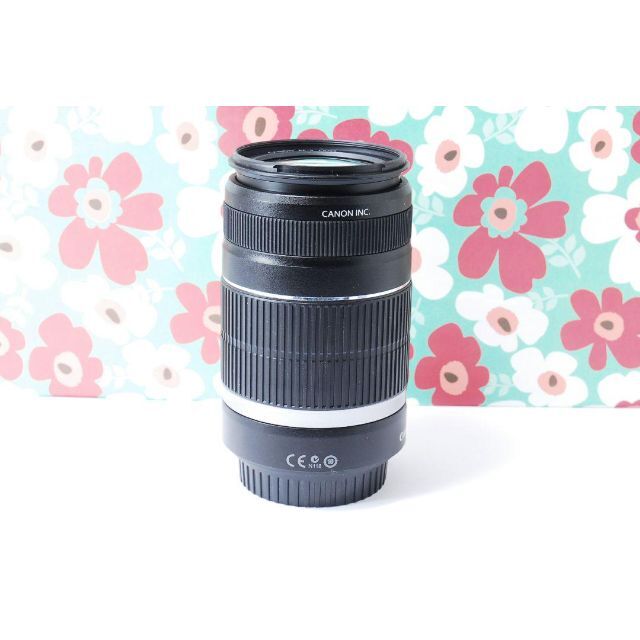 ❤Canon EF-S 55-250mm F4-5.6 IS❤手振れ補正❤望遠❤ 6