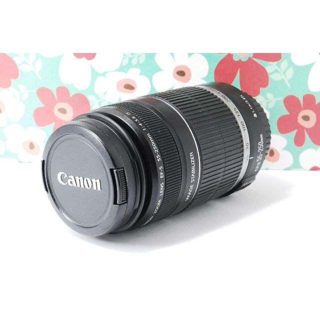 ❤Canon EF-S 55-250mm F4-5.6 IS❤手振れ補正❤望遠❤ 7