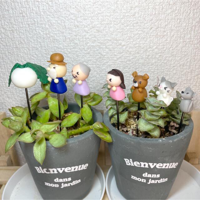 ハンドメイド　ガーデンピック　大きなカブピック　多肉植物 ハンドメイドのフラワー/ガーデン(その他)の商品写真