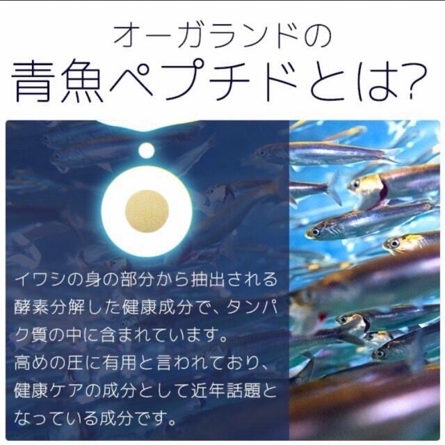 気になる圧高めの方に イワシ100％DHA EPA 青魚ペプチド 3ヶ月分 食品/飲料/酒の健康食品(その他)の商品写真