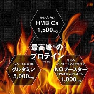 【特価】DNS/ホエイプロテインスーパープレミアム フルーツミックス味1000