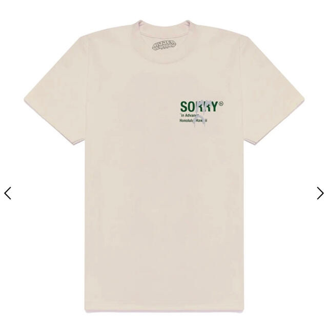 Supreme(シュプリーム)の[新品未使用] 希少☆ Hidden NY x Sorry Hawaii ロゴT メンズのトップス(Tシャツ/カットソー(半袖/袖なし))の商品写真