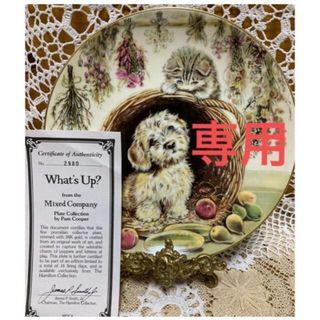 ロイヤルウースター(Royal Worcester)の限定品RW社【What's Up 】ネコイヌ　猫犬 　証明書付き　飾り皿 ねこ (置物)