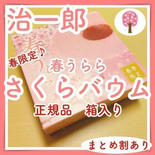 p hawchan専用まとめ割さくらバウム700　春うらら　(菓子/デザート)