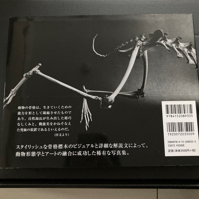 [サキ様専用]Ｂｏｎｅｓ 動物の骨格と機能美