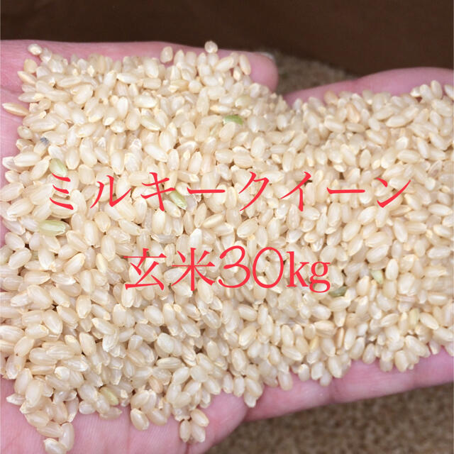 米/穀物　SpringSALE令和3年産『ミルキークイーン』玄米30㎏もちもち食感が人気！　半ペア販売　LITTLEHEROESDENTISTRY