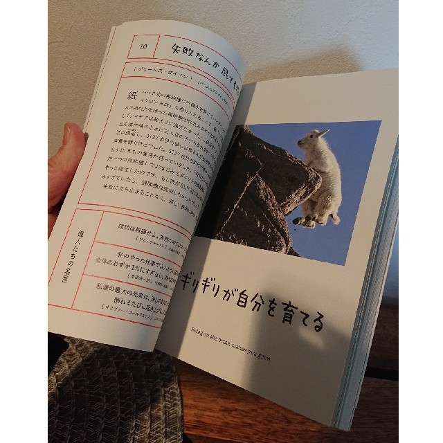 人生はＺＯＯっと楽しい！ 毎日がとことん楽しくなる６５の方法 エンタメ/ホビーの本(文学/小説)の商品写真