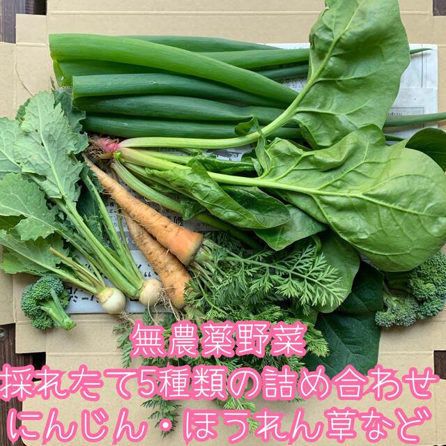 無農薬野菜＊採れたて5種類の詰め合わせ＊野菜セット＊ネコポス＊ほうれん草など＊ 食品/飲料/酒の食品(野菜)の商品写真