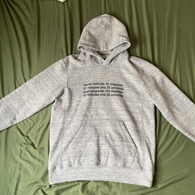 THE NORTH FACE SOUVENIR NISEKO HOODIE