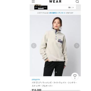 パタゴニア(patagonia)のパタゴニア　ライトウェイト　シンチラ　スナップT(その他)