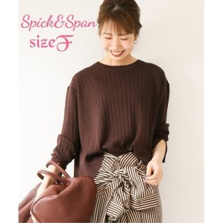 スピックアンドスパン(Spick & Span)のスピックアンドスパン　春物ワイドリブスリットプルオーバー　ブラウン　フリーサイズ(カットソー(長袖/七分))