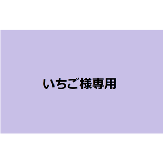 いちご様専用　エサ皿　餌入れ　2個セット(ペットフード)