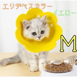 エリザベスカラー　Ｍ　イエロー　猫　犬　お花　舐め防止(猫)