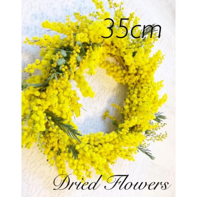 【年中無休】 【大サイズ35cm】ミモザのドライフラワー❤︎リース リース 【年中無休】 【大サイズ35cm】ミモザのドライフラワー❤︎リース リース