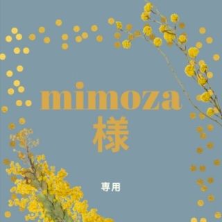 mimoza様専用☆多肉植物(その他)