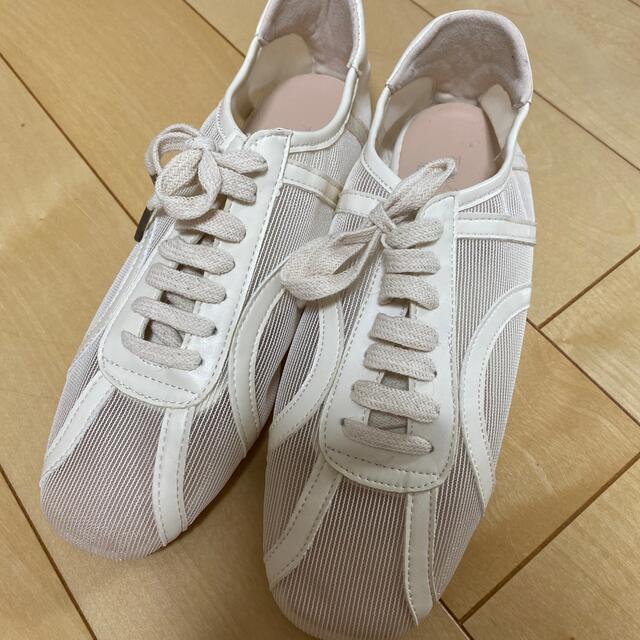 TODAYFUL(トゥデイフル)のwillfully sheer mesh piping sneaker レディースの靴/シューズ(スニーカー)の商品写真