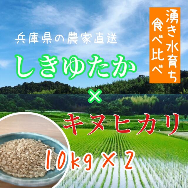 農家のお米食べ比べ◇レアな組合わせ 兵庫県産シキユタカ×キヌヒカリ各10kg 食品/飲料/酒の食品(米/穀物)の商品写真