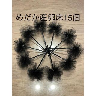 《めだか産卵床15個（チュール生地黒）の商品》(アクアリウム)