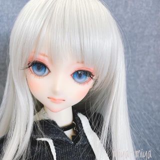 ボークス(VOLKS)のDDH-09ドルフィードリーム　カスタムヘッド　レジンアイ(人形)