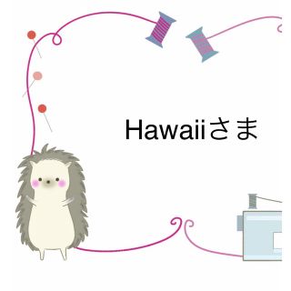 Hawaiiさま専用ページ(その他)