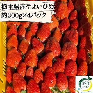 【送料無料/限定品】栃木県産やよいひめ　300g×4パック(フルーツ)