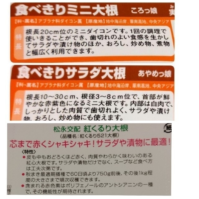 初心者向け 春まき ミニ大根 家庭菜園 プランター サラダダイコン 食品/飲料/酒の食品(野菜)の商品写真