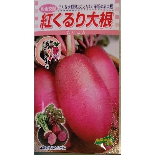 初心者向け 春まき ミニ大根 家庭菜園 プランター サラダダイコン 食品/飲料/酒の食品(野菜)の商品写真