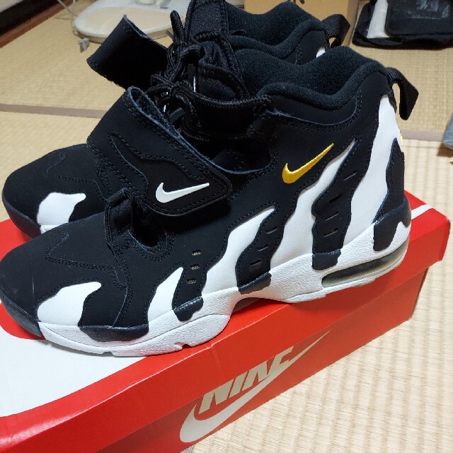 NIKE　ナイキ　Air DT MAX  Black White 28 10