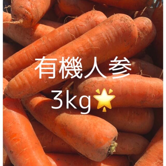 A品有機人参3kg⭐️通常価格から100円割引！ 食品/飲料/酒の食品(野菜)の商品写真