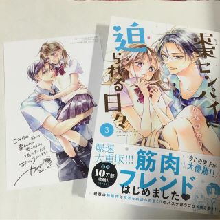 コウダンシャ(講談社)の棗センパイに迫られる日々 ３ イラストカード付き(少女漫画)