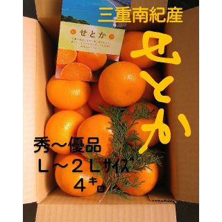 せとか(三重南紀産)　約４㌔　Ｌ～２Ｌサイズ　２０玉前後(フルーツ)