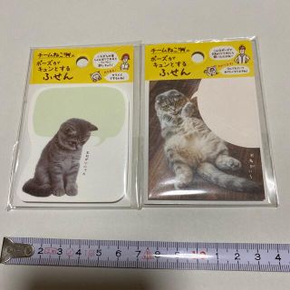 ガッケン(学研)のチームねこ　ポーズがキュンとするふせん　2個セット　🅰️(ノート/メモ帳/ふせん)