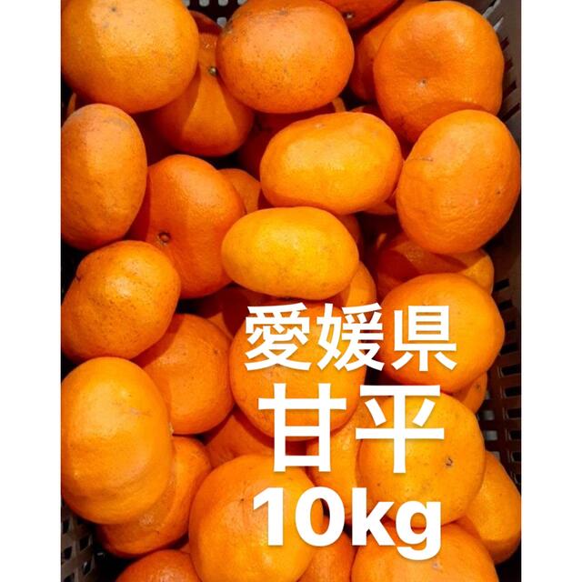 愛媛県産　甘平　柑橘　10kgフルーツ