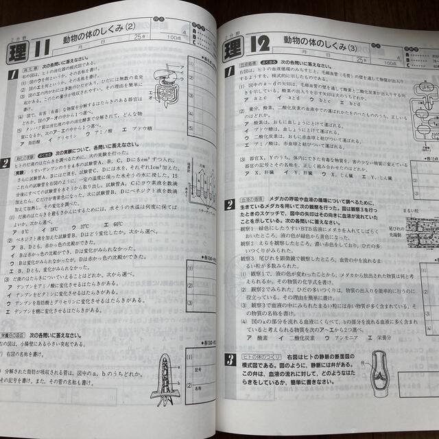 中２　５科モギテスト エンタメ/ホビーの本(人文/社会)の商品写真