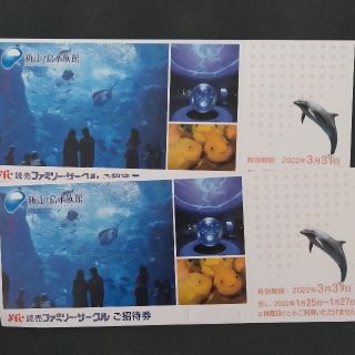 新江ノ島水族館　無料招待券　2枚セット　えのすい　アクアリウム　送料無料(水族館)