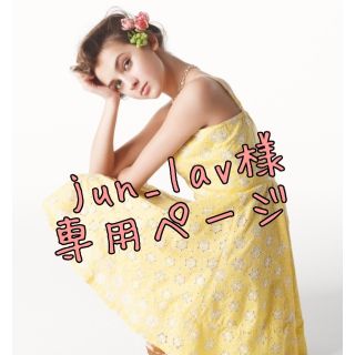 jun_lav様＊専用ページ(アイドルグッズ)