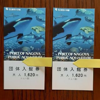 名古屋港水族館　入館券　大人2枚(水族館)