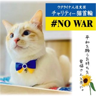 【ウクライナ支援】国旗カラー首輪　チャリティー　猫ちゃん首輪　セーフティバックル(猫)