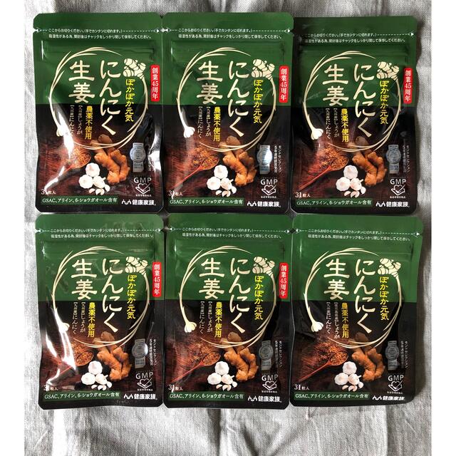 健康家族 にんにく生姜 6袋セット 食品/飲料/酒の健康食品(その他)の商品写真